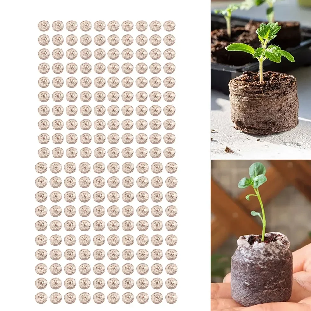 Substrate Coconut Fiber - 100 pastilles de coco compressées pour
