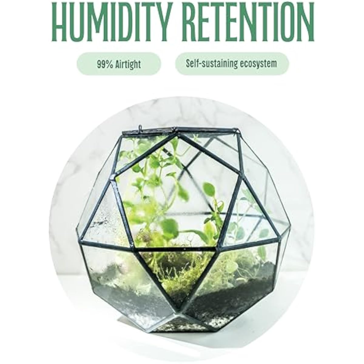 Terrarium sphérique géométriqu - Glass Door Hinge avis et prix