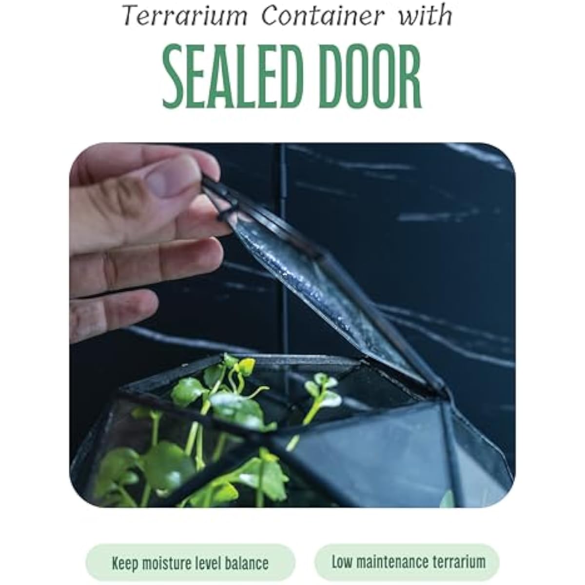 Terrarium sphérique géométriqu - Glass Door Hinge avis et prix