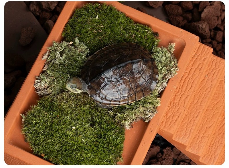 Plateforme de repos pour tortu - Hide Cave Ceramic avis et prix