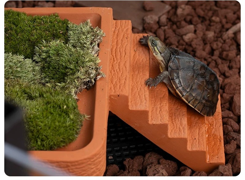 Plateforme de repos pour tortu - Hide Cave Ceramic avis et prix