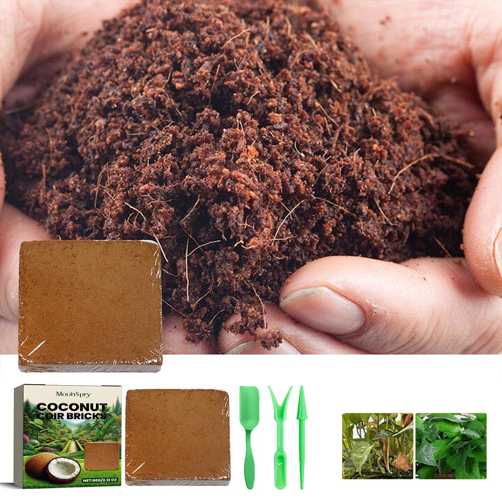 Brique de fibres de coco - Sub - Substrate Coconut Fiber avis et prix