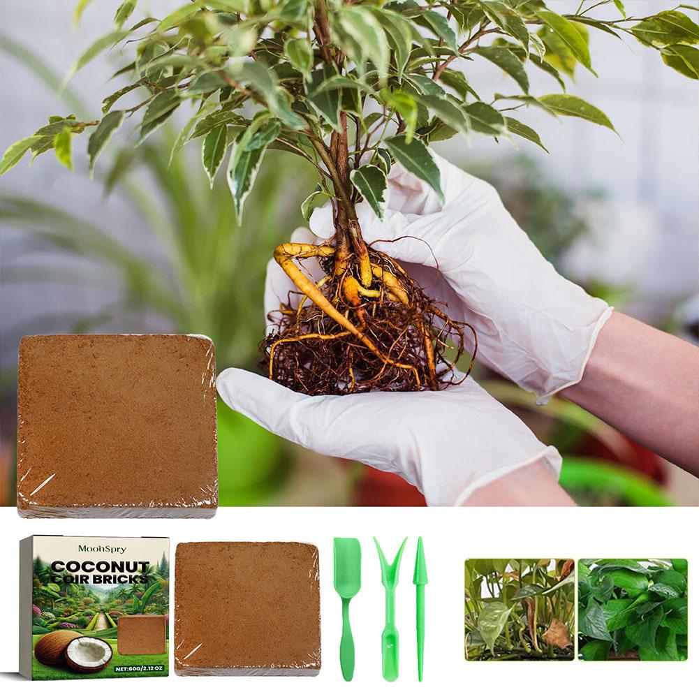Brique de fibres de coco - Sub - Substrate Coconut Fiber avis et prix