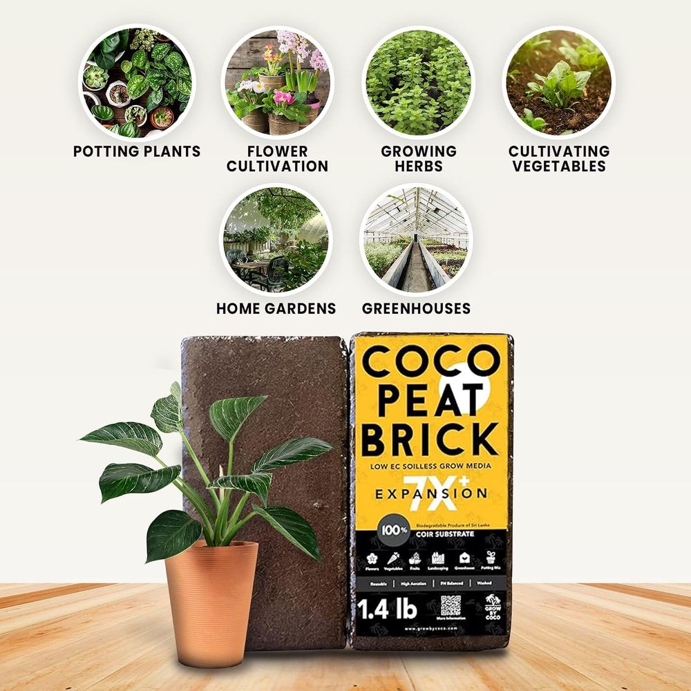 Brique de 650g - Brique de tou - Substrate Coconut Fiber avis et prix