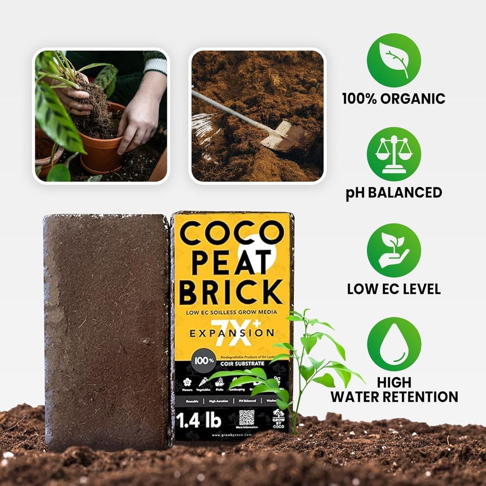 Brique de 650g - Brique de tou - Substrate Coconut Fiber avis et prix