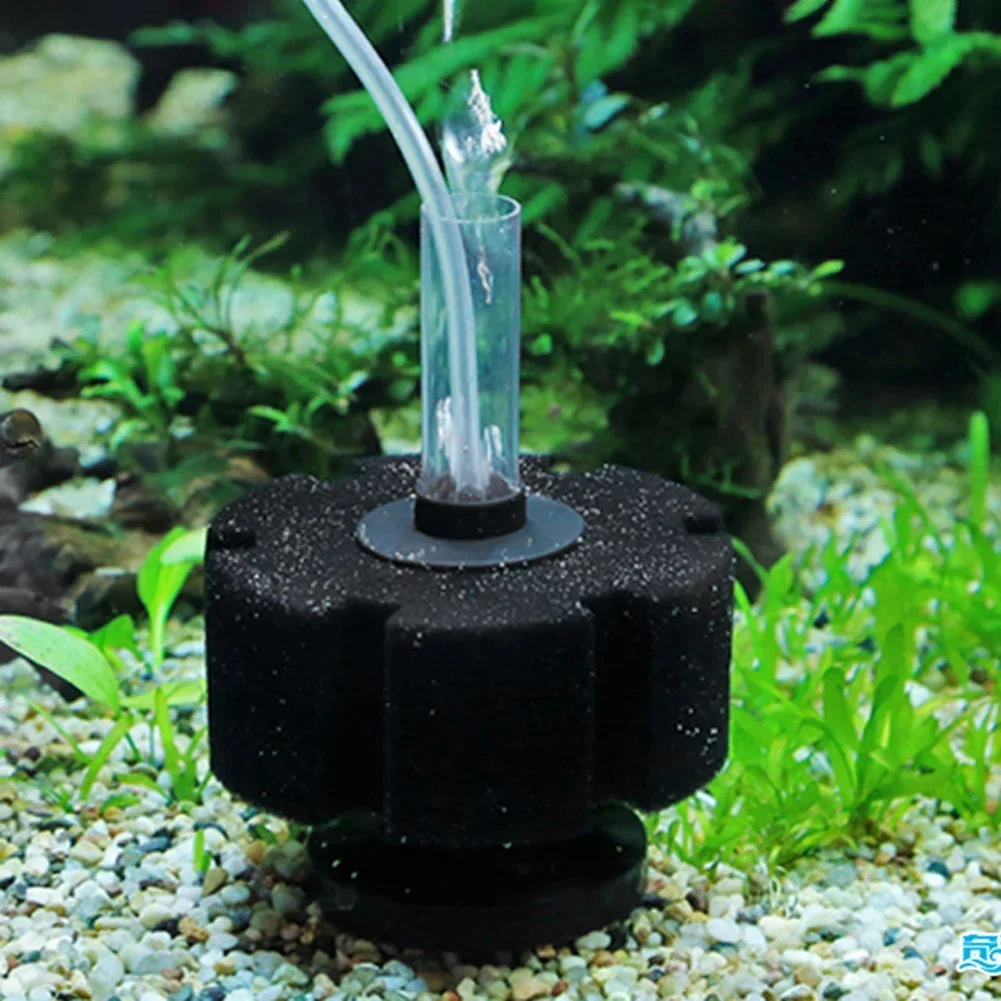 Éponge filtrante pour aquarium - Aquael Filter Fzn avis et prix